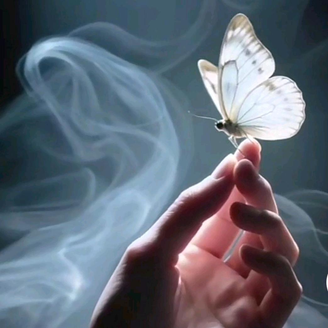 你是我的白岳光