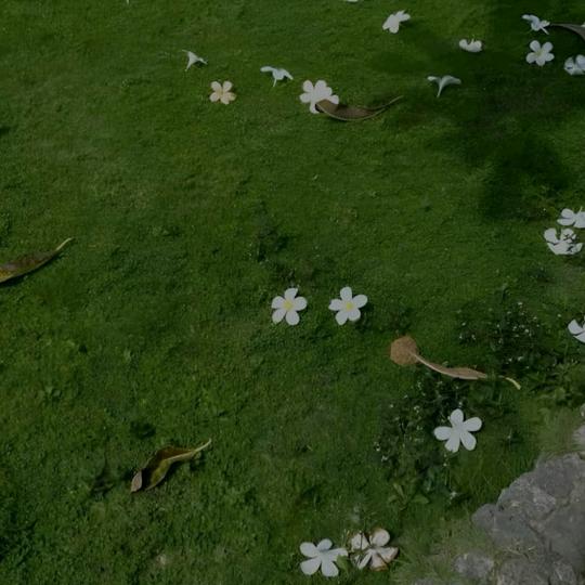伊人