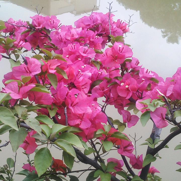 ❤️夏丶冬⭕️