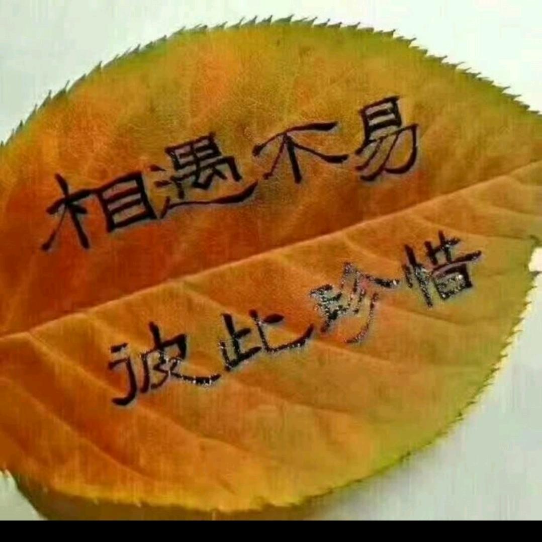 熟悉的陌生人