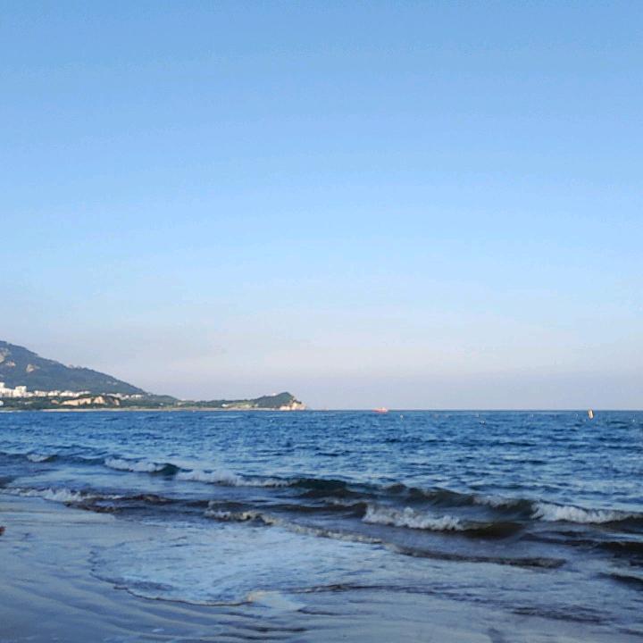 大敏敏吖