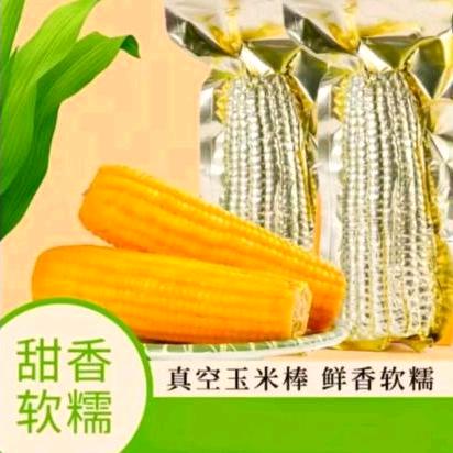 东北糯玉米