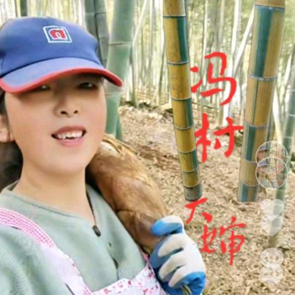 余姚冯村挖笋大婶