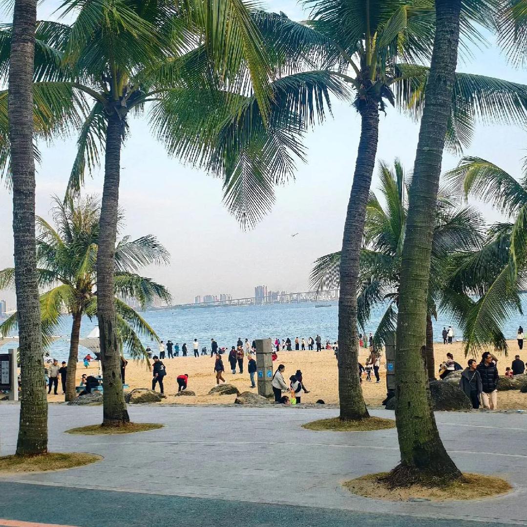 杨阳同学