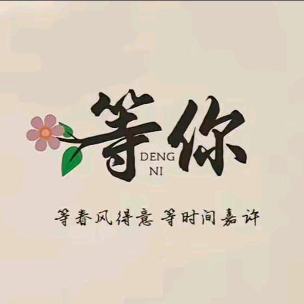 安毛毛🛴