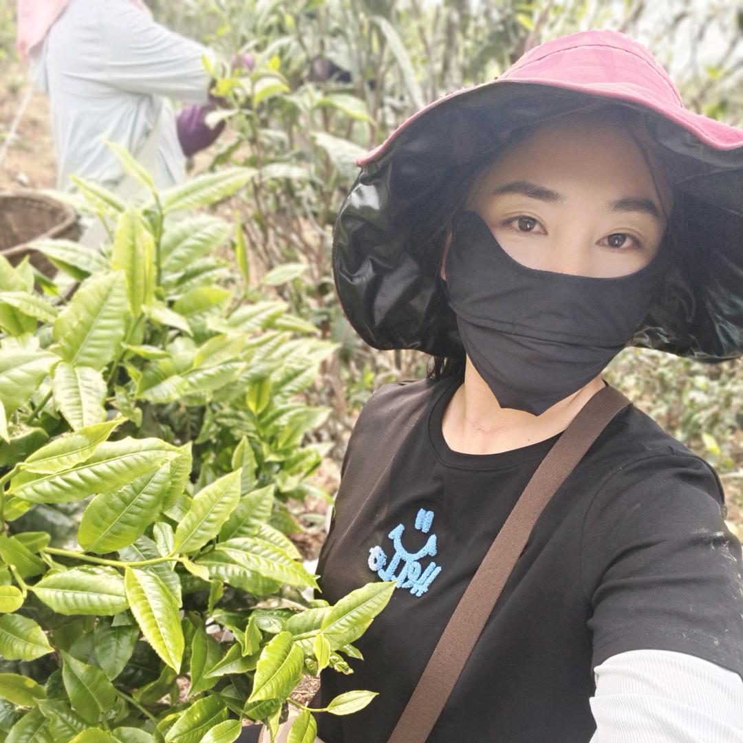双江董姐