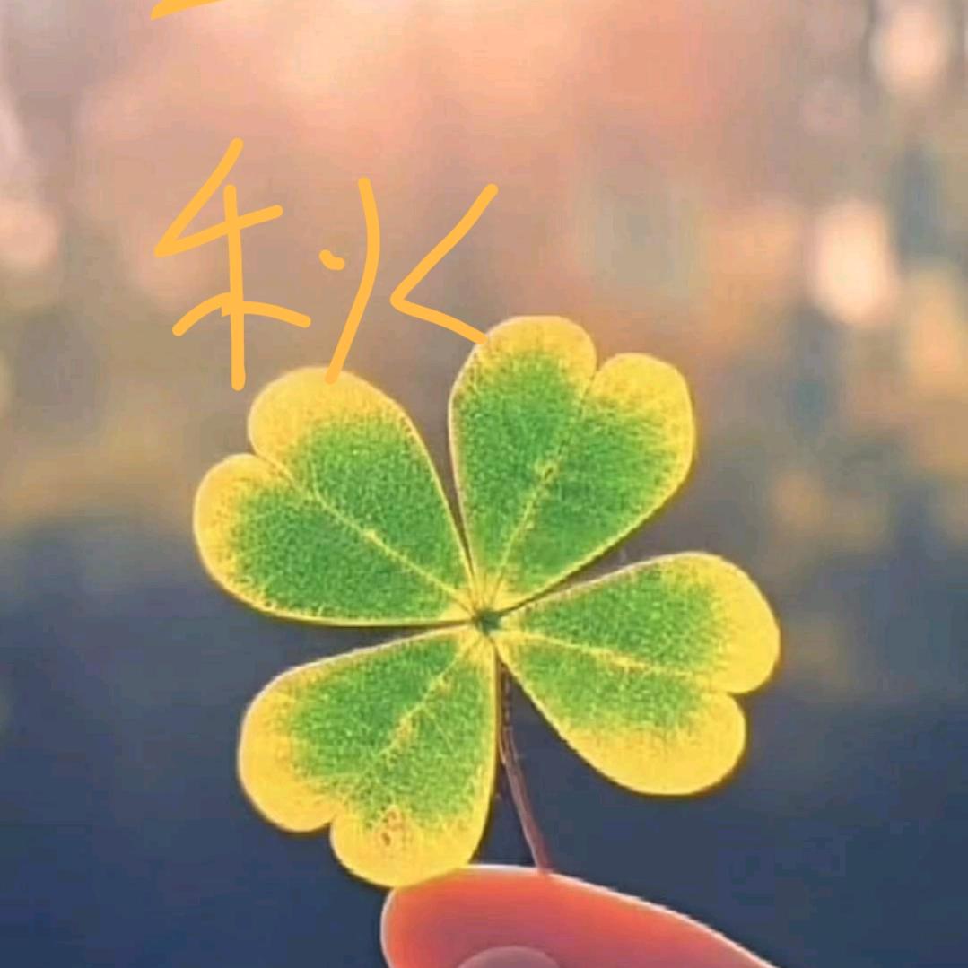 大米多多