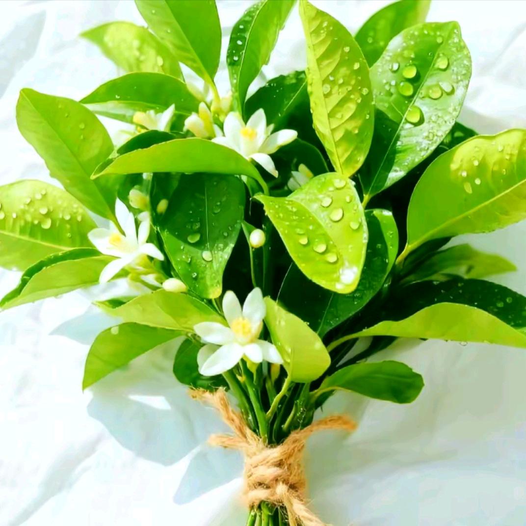 🌈˚‧*⃟好运爆张ഒᩚ