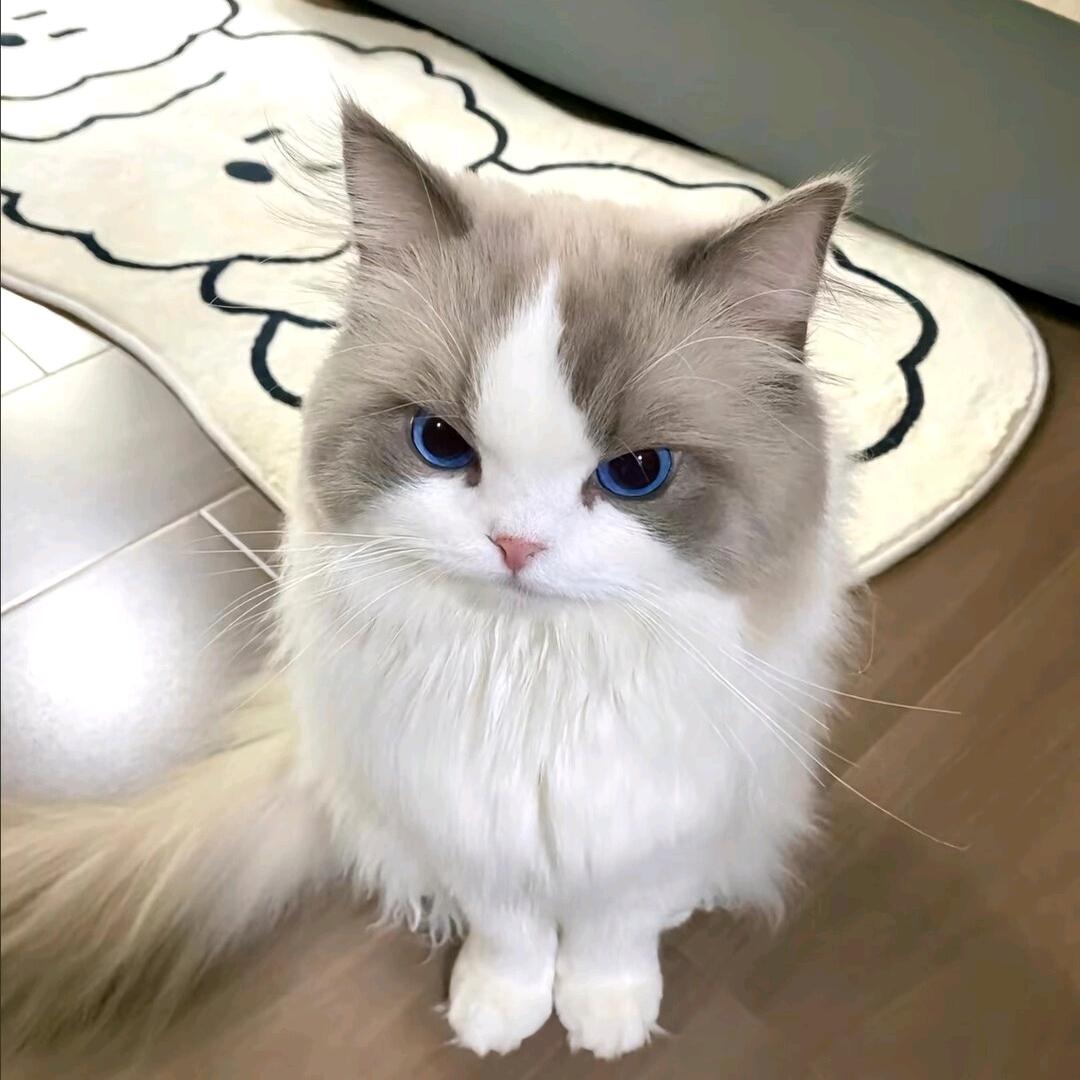 𝗥𝗼𝗺𝗮𝗻𝘁𝗶𝗰𝘀𝘂𝗺𝗺𝗲𝗿头像