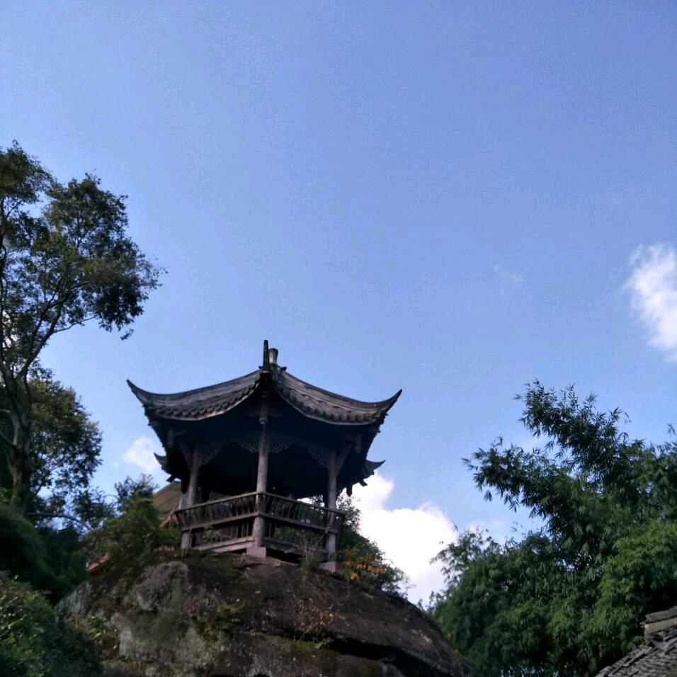 明森 ♌️²⁶⁶