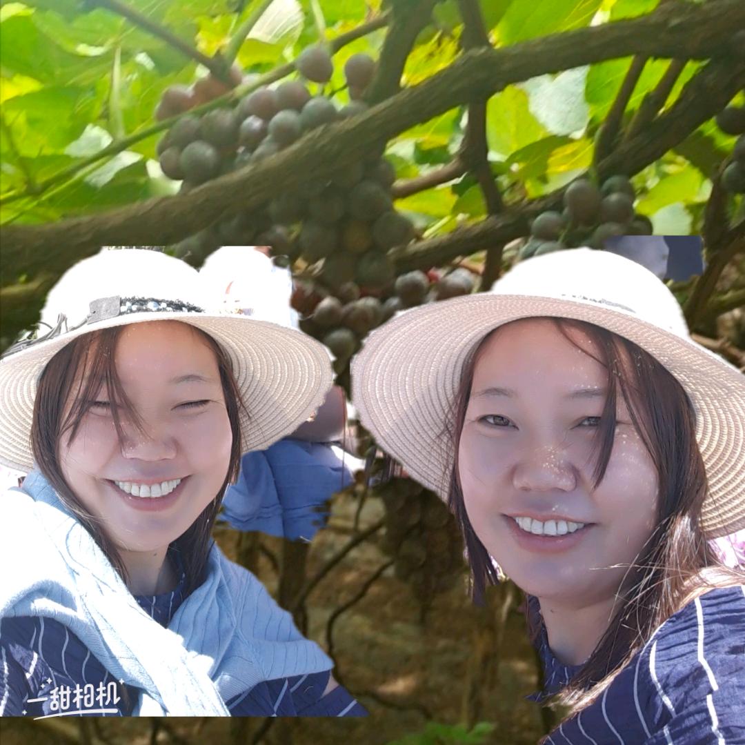 云南芳芳姐