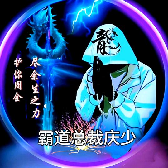 霸道总裁庆少