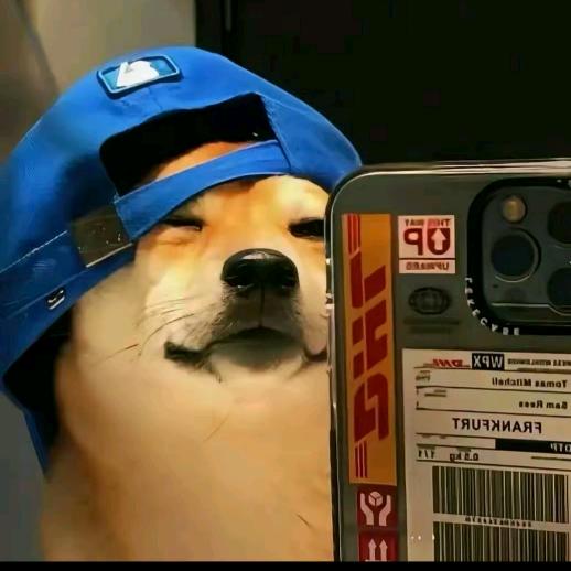 氿