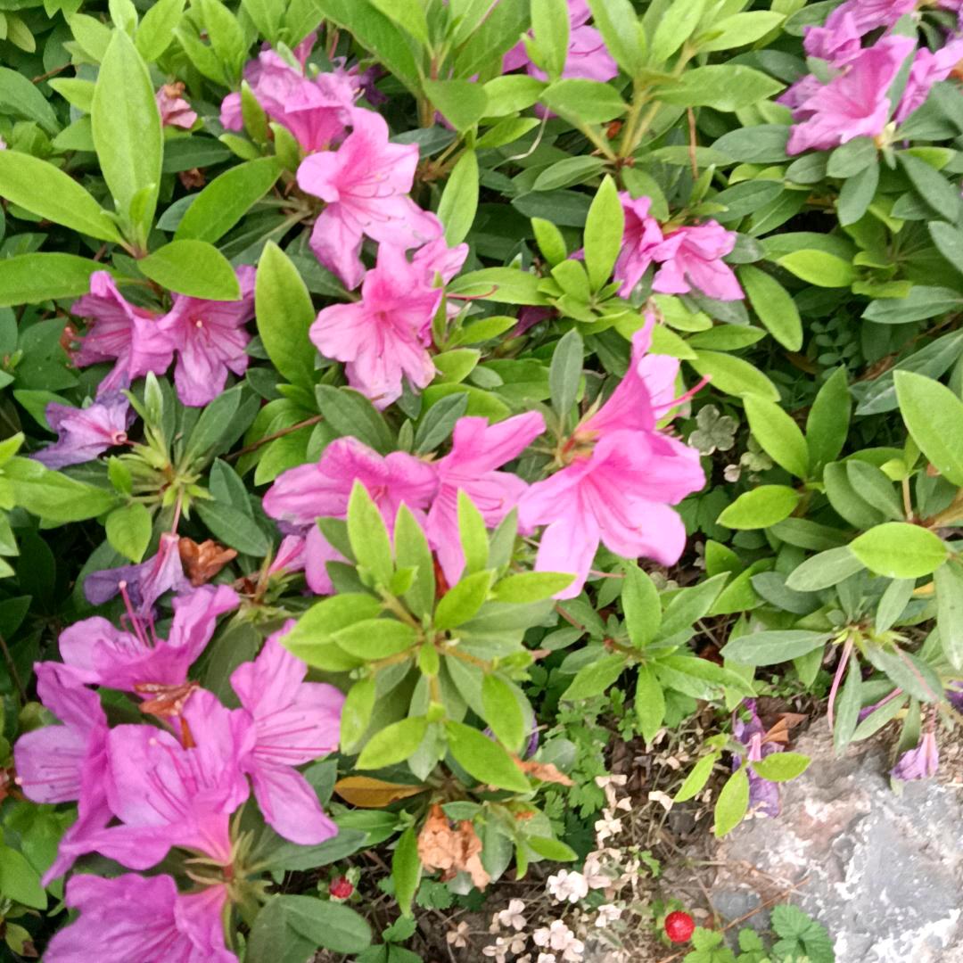 用户3803221783390陈根