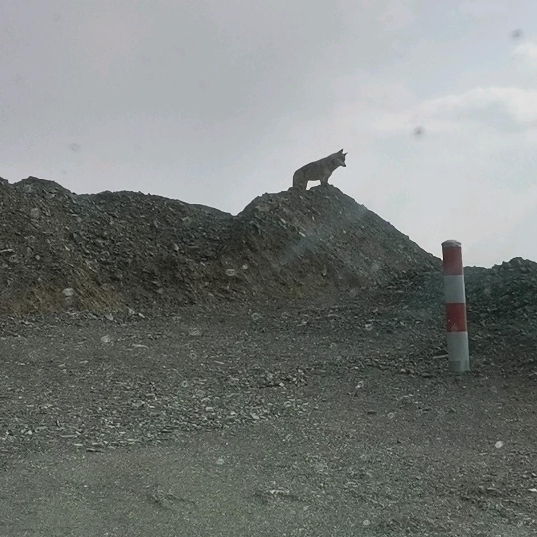 新疆趣链智慧农业