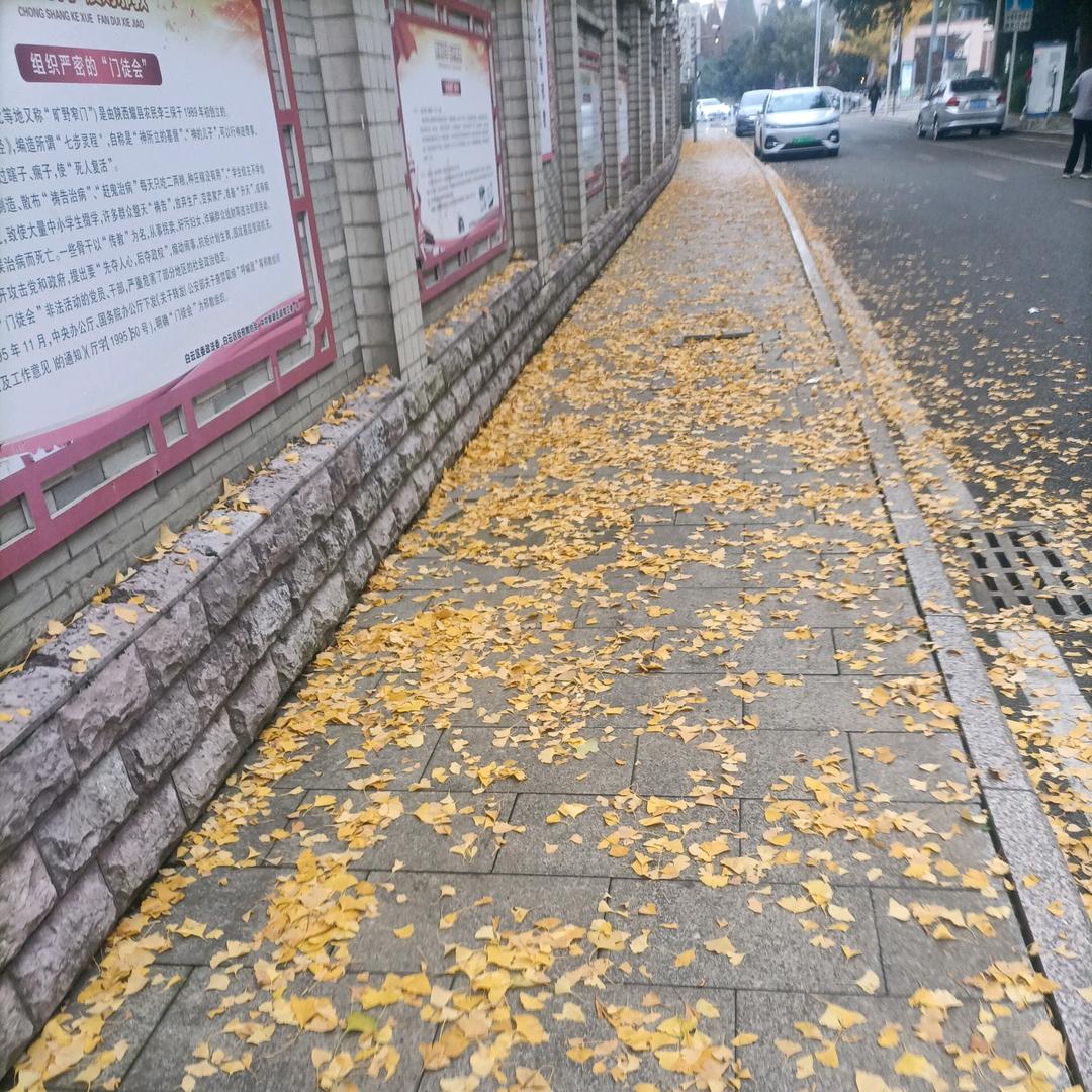 用户8925533447636
