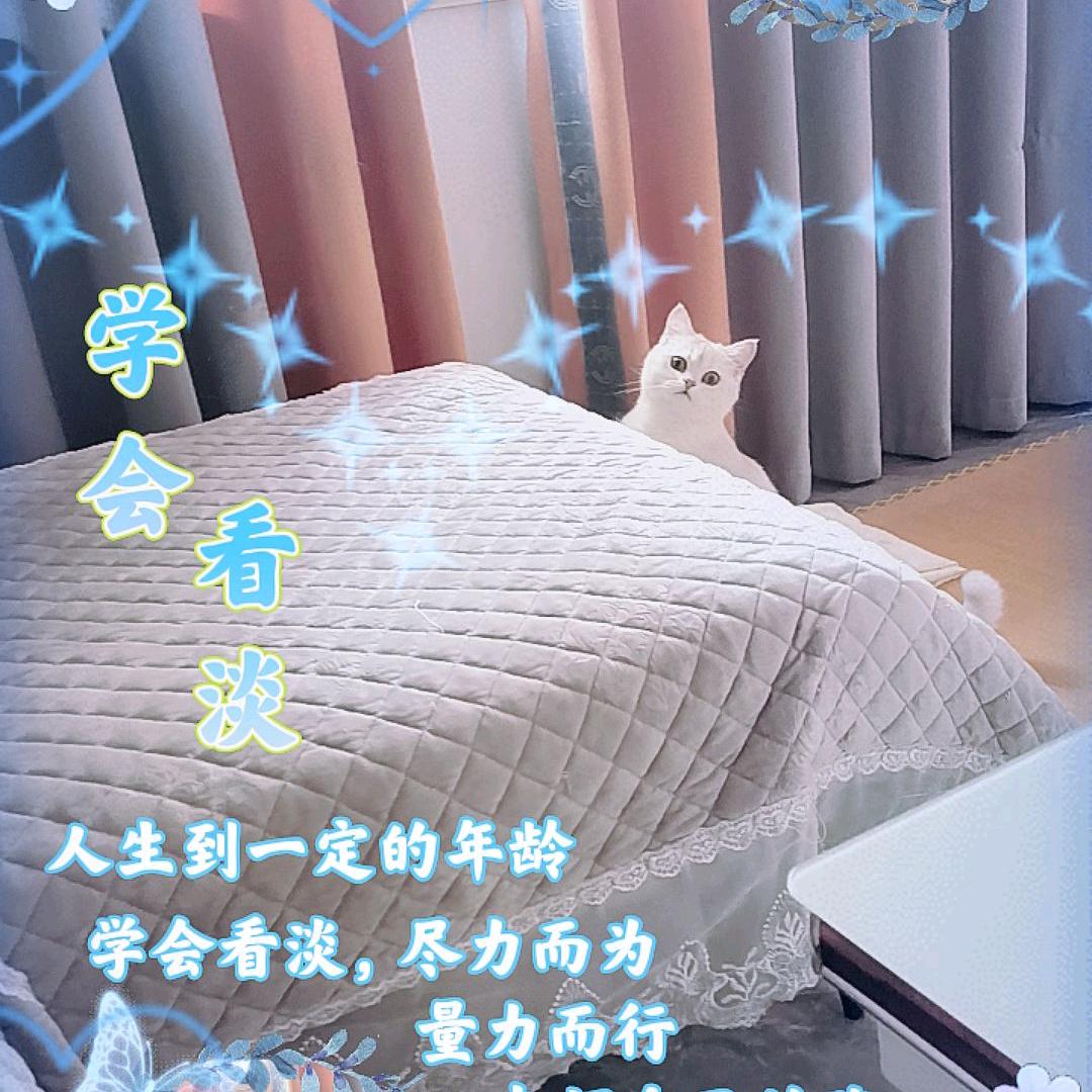陆红霞