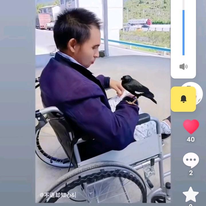 段乔顺