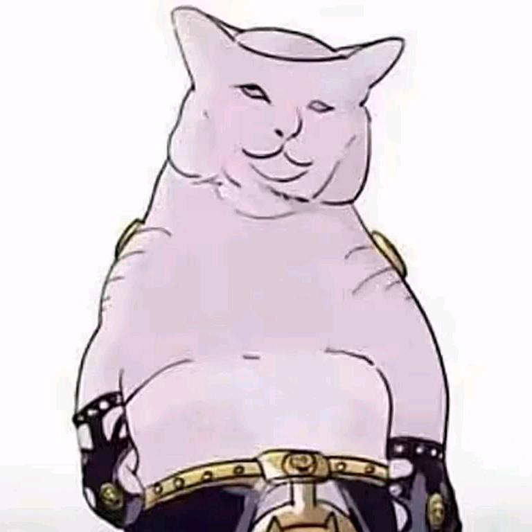 𝐷𝐏𝐎𝐘