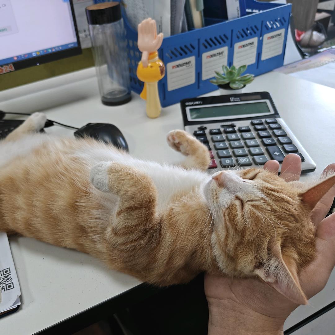 风中风中、