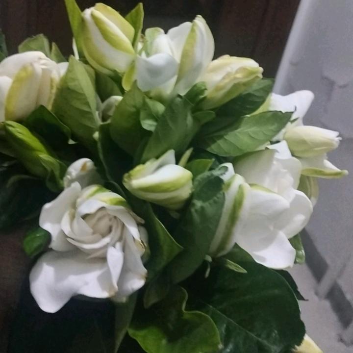 初升的太阳🌞🌞🌞