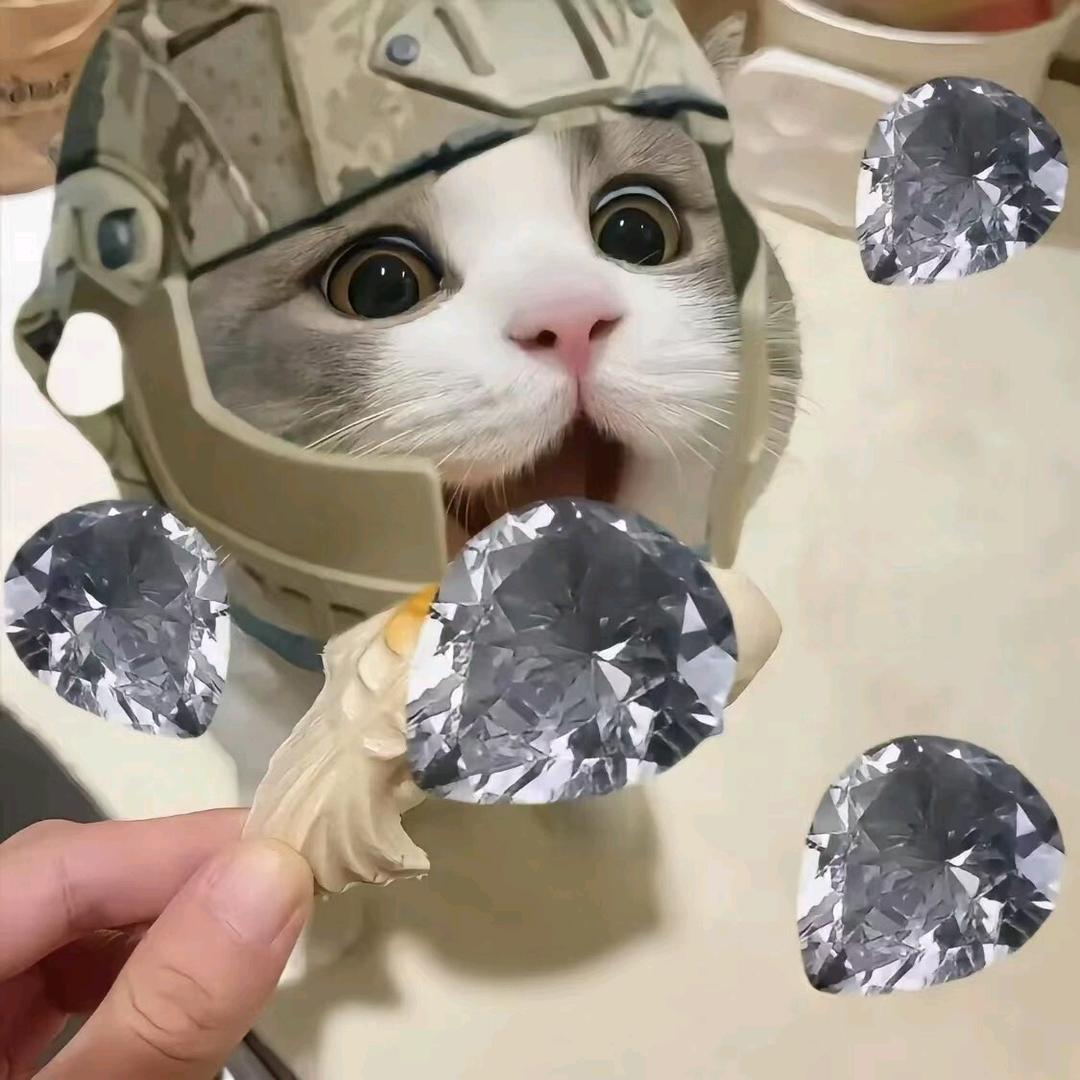 一只鼠鼠