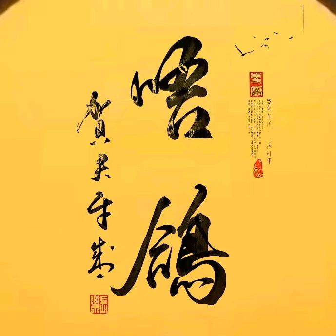 唔•鴿