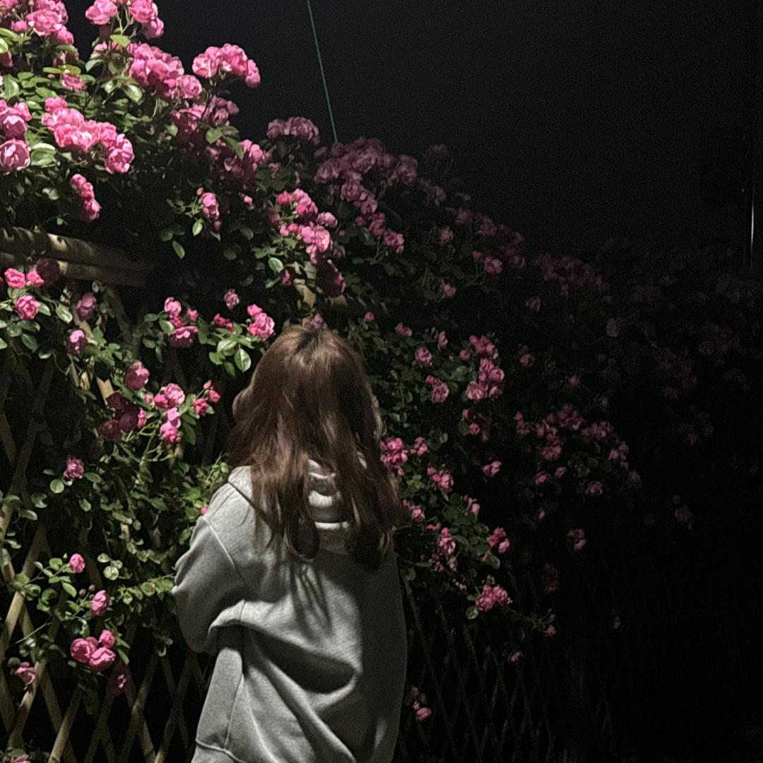 jiejie