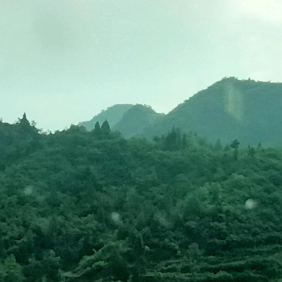 逆盘重生