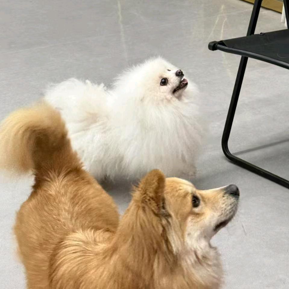 丬仙女の許愿池