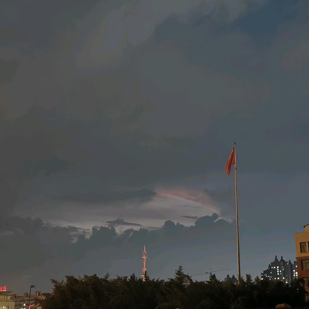 @一只胖橙🍊