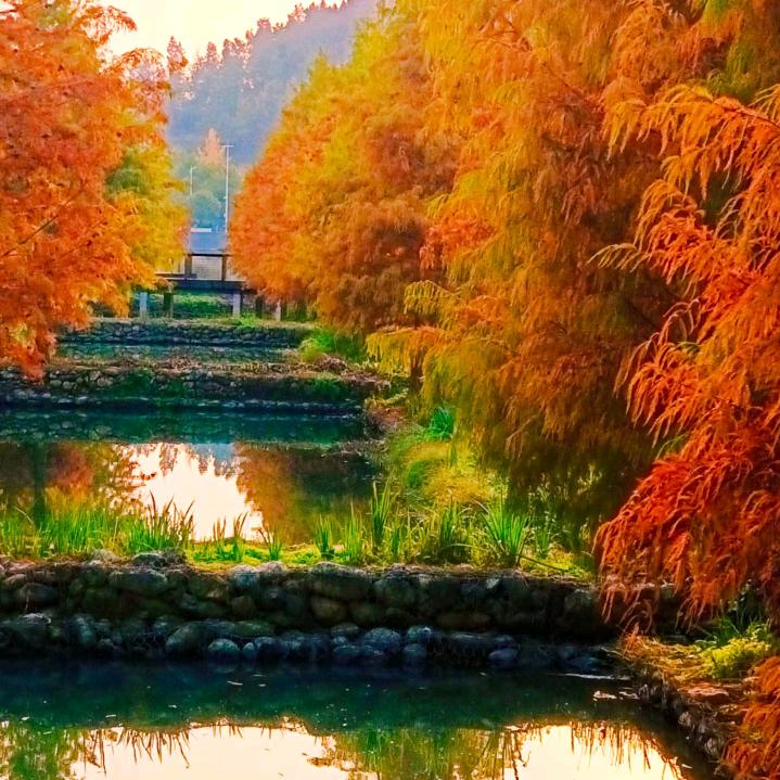 @🦋ꦿ໊ 丫᭄🕊头᭄ꦿᩚ٭：