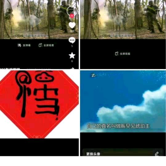 法飞哥幸福来临赈早见琥珀主张楚岚和冯宝宝