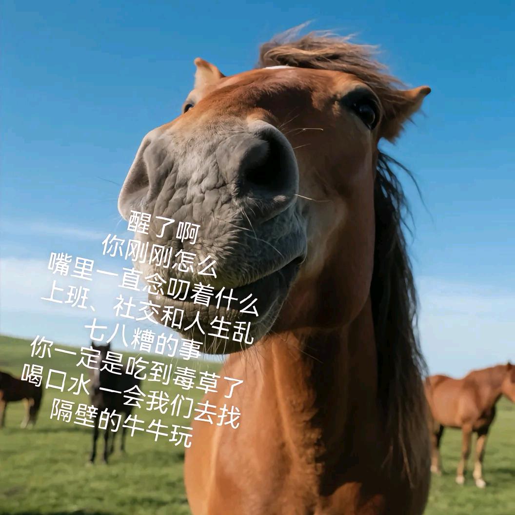 ˊᵒ̴̶̷̤ꇴᵒ̴̶̷̤ˋ