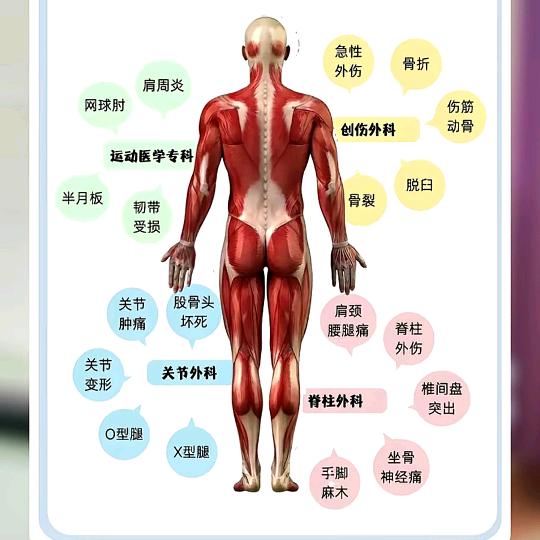 孤 叶