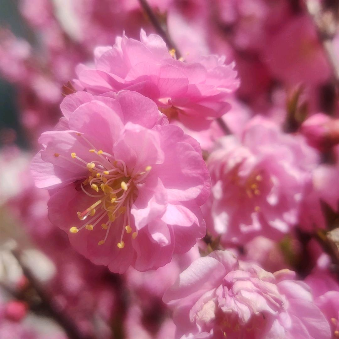 emo✧٩(ˊωˋ*)و✧