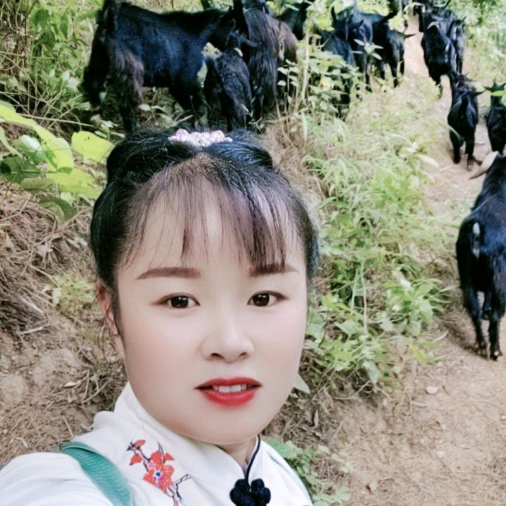 云南养羊妹