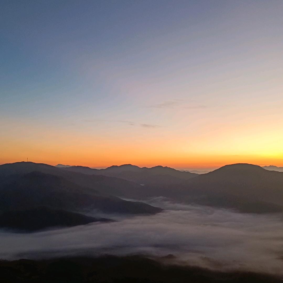 南山客