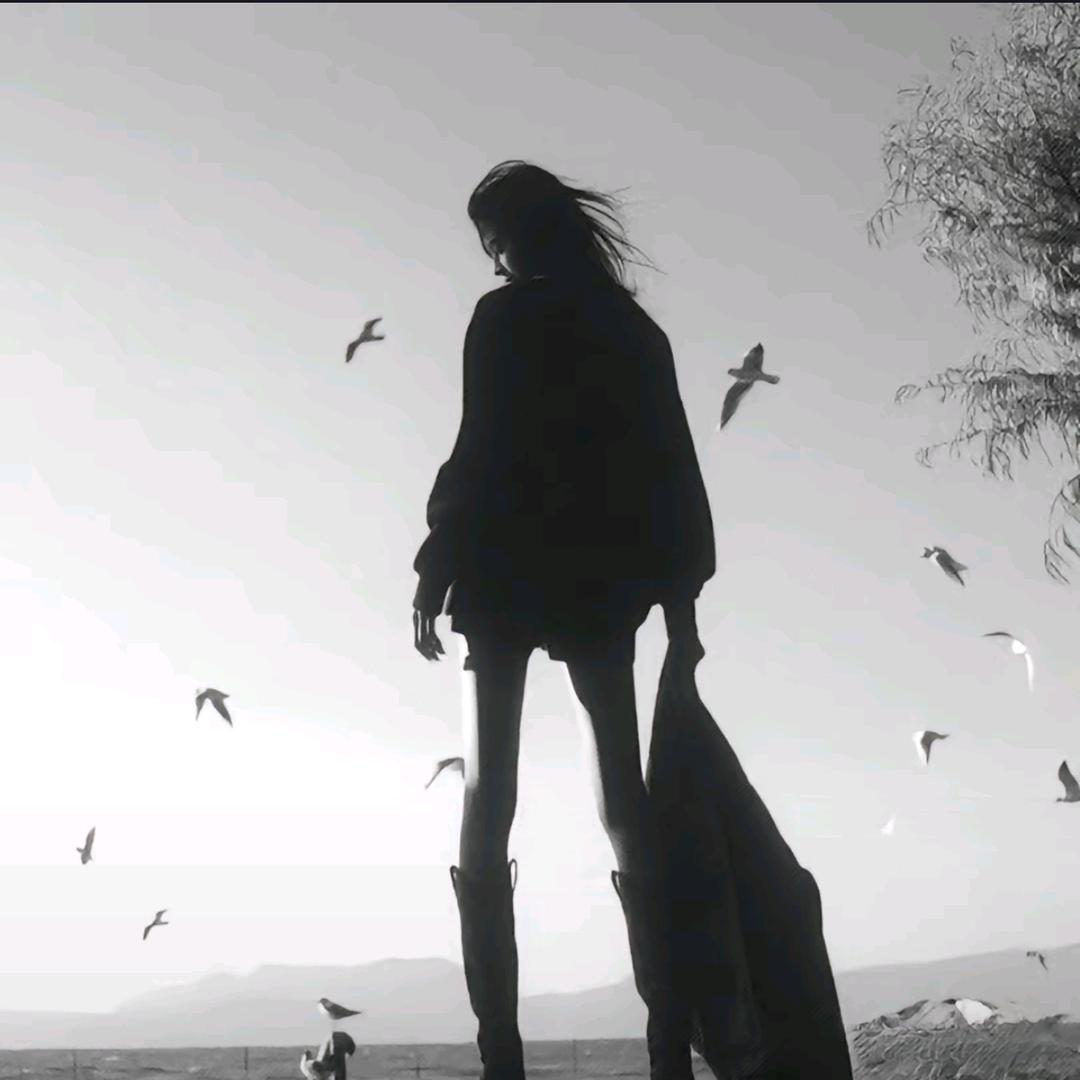 如果我开挖掘机你还会爱我吗