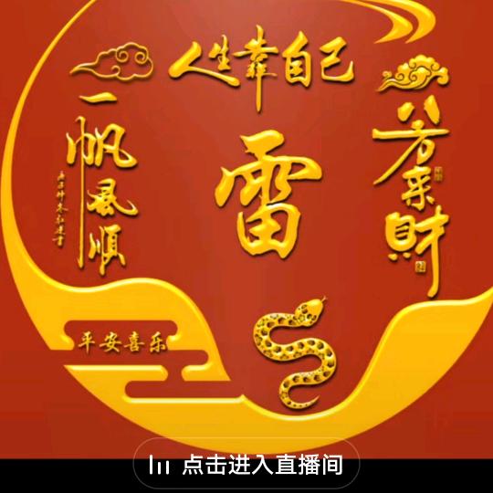 阜阳王雷
