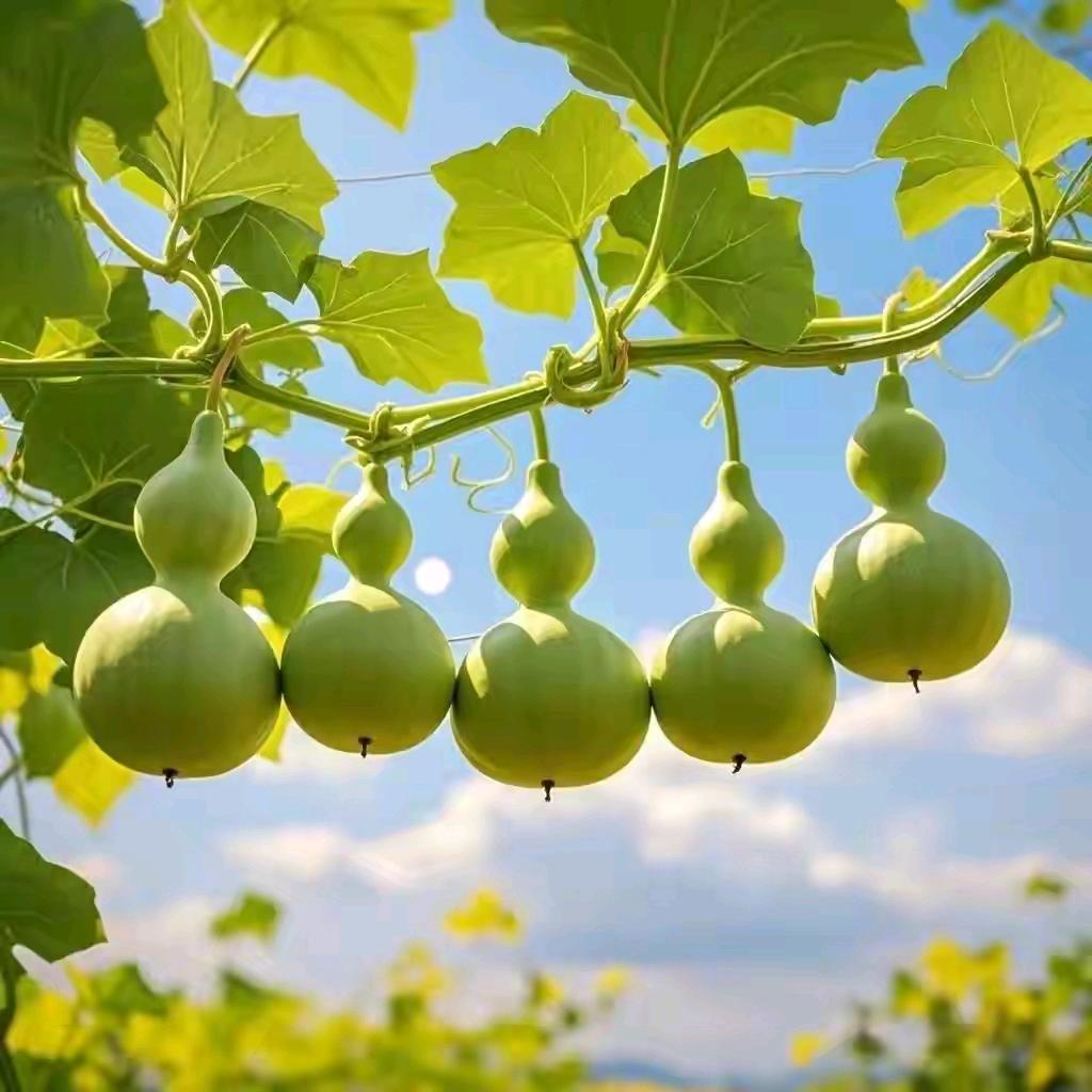 烟，嘛醉了伤口
