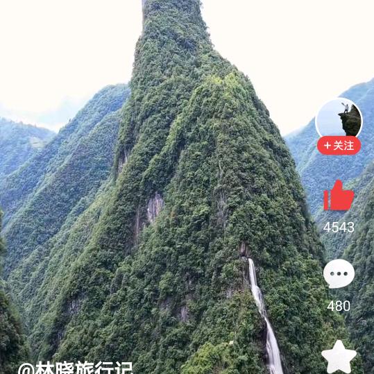 强哥