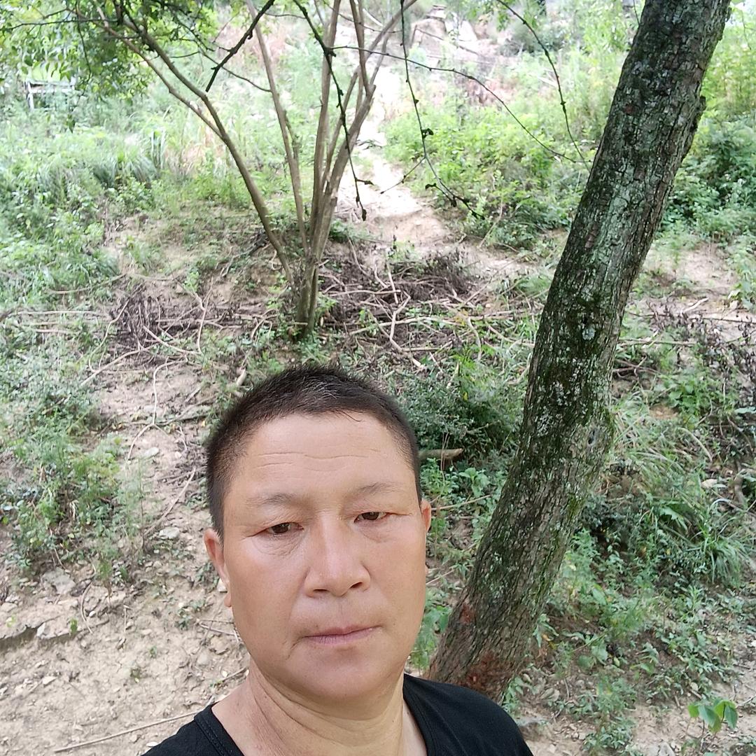 真诚永远