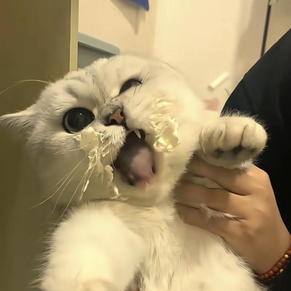 来点麻辣烫