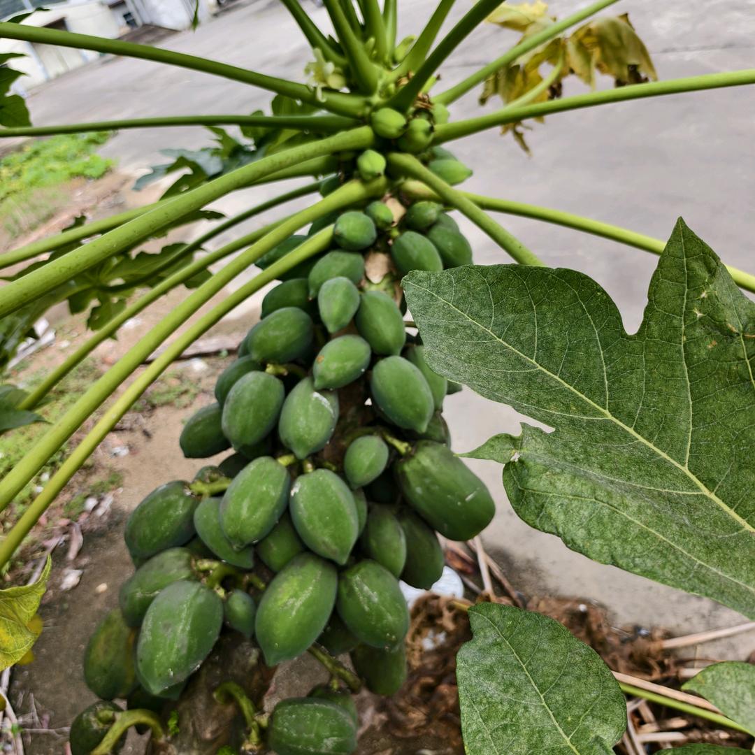 八方来财