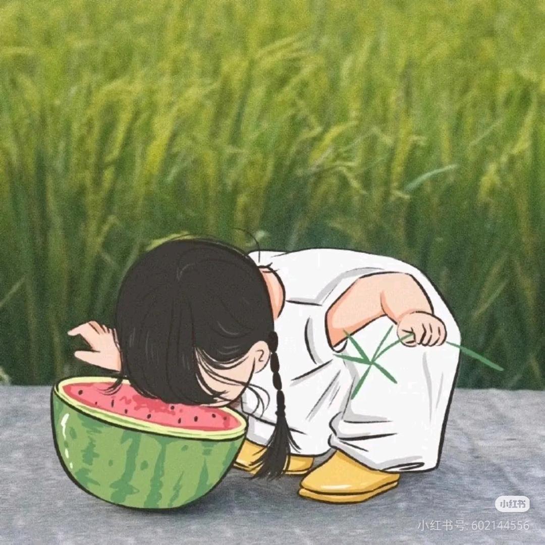 杨梅吃不胖