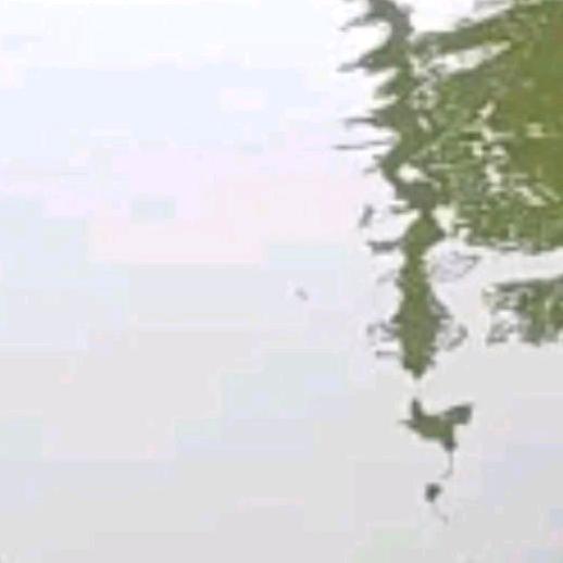 相信谁