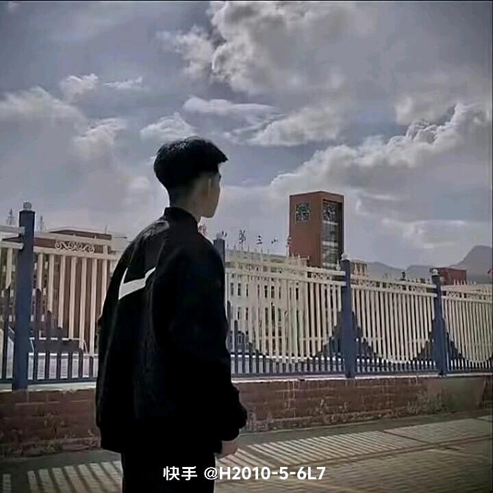 贪玩小狗