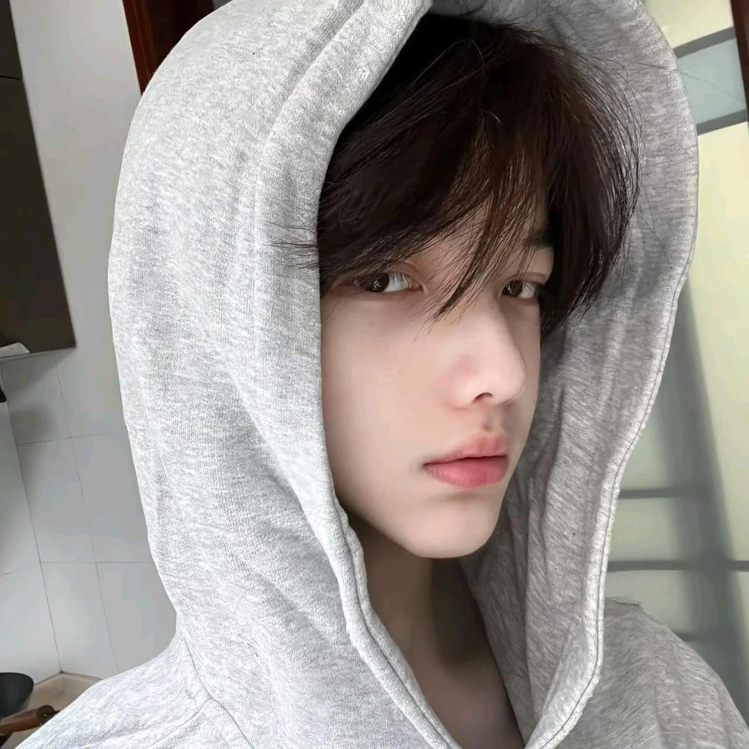 小杨不是羊