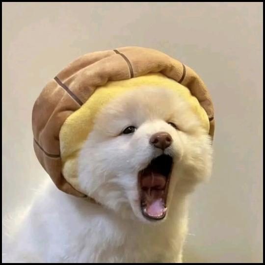 陈皮糖